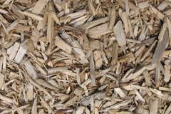 biomass boilers Quarrywood